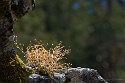 Stuibenfall Klettersteig