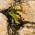 Stuibenfall Klettersteig