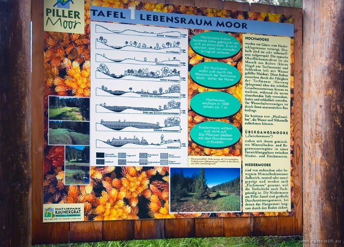 20100723_152024.jpg - Piller Moor