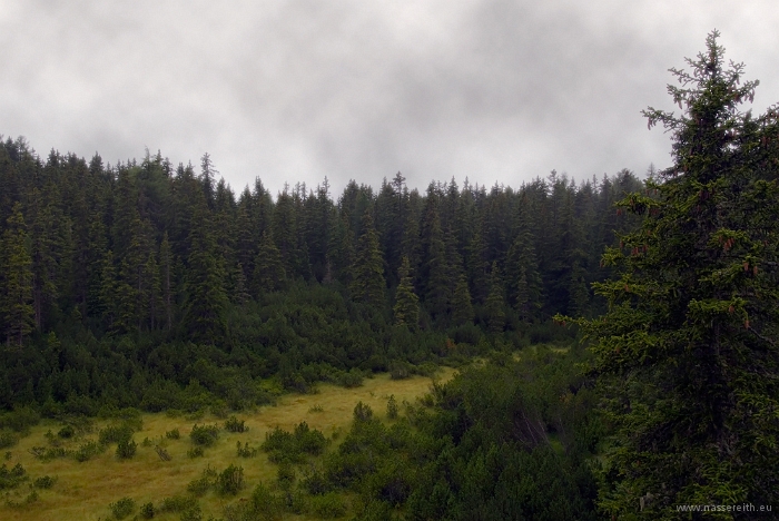 20100723_152826.jpg - Piller Moor