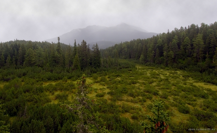 20100723_153040.jpg - Piller Moor