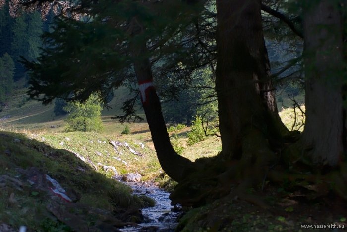 20100919144555.jpg - Nassereither Alm