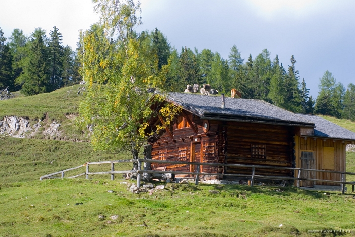 20100919161610.jpg - Nassereither Alm