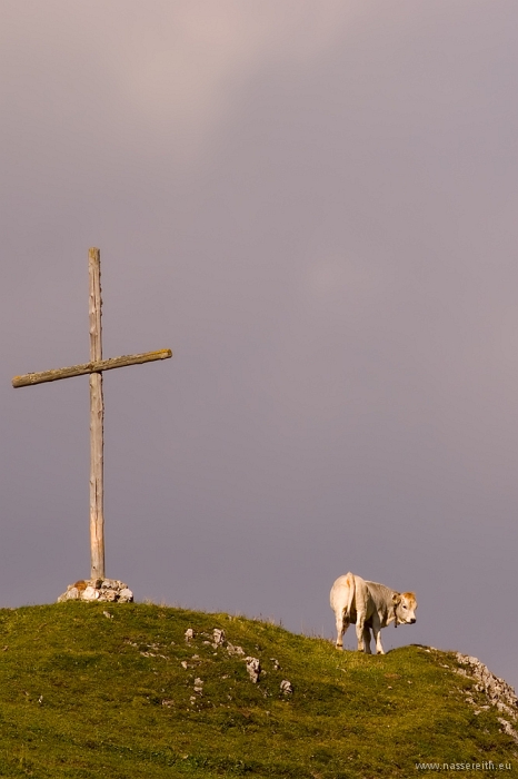 20100919161926.jpg - Nassereither Alm