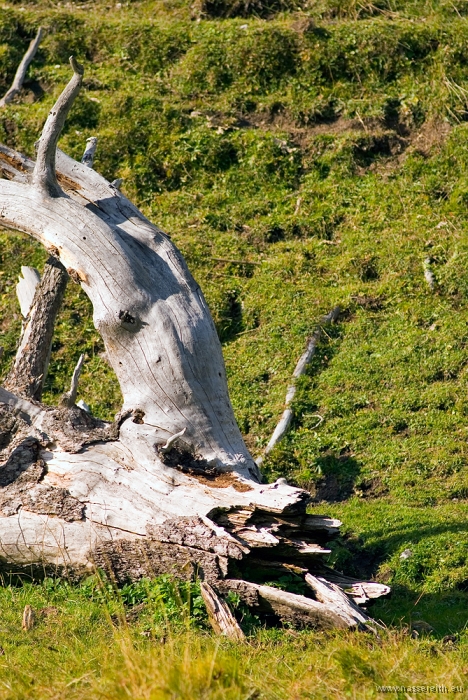 20100919162014.jpg - Nassereither Alm