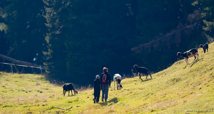 20100919162106.jpg - Nassereither Alm