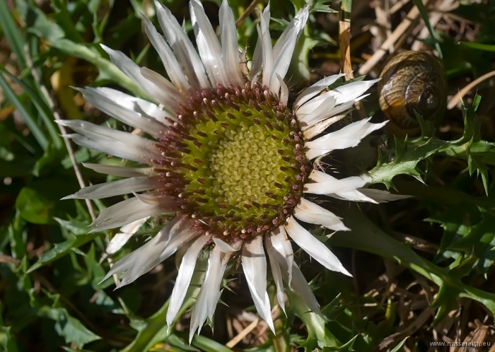 20100919163019.jpg - Nassereither Alm