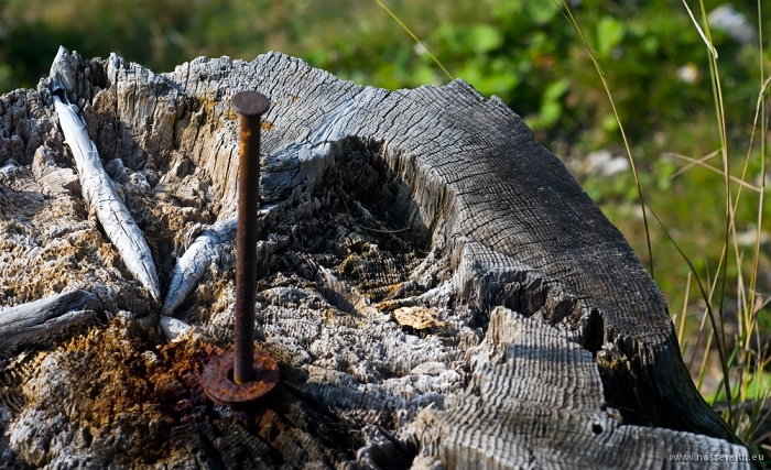 20100919170251.jpg - Nassereither Alm